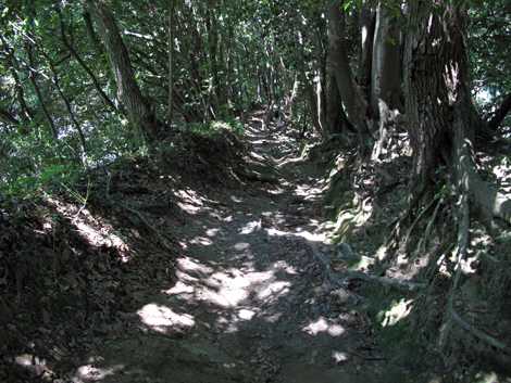 20150715hike (165)